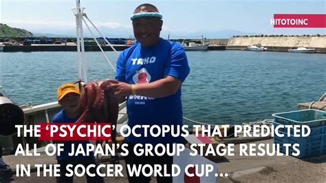 World Cup 2018: Japan's 'psychic' octopus killed and 'sent to .